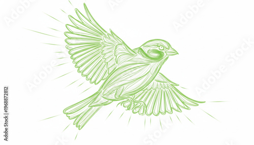 vector illustration of a bird