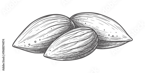 Three Almonds Hand Drawn Style nuts food healthy ingredient