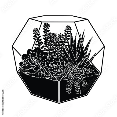 A black and white illustration of various plants and succulents in a geometric terrarium on a white background