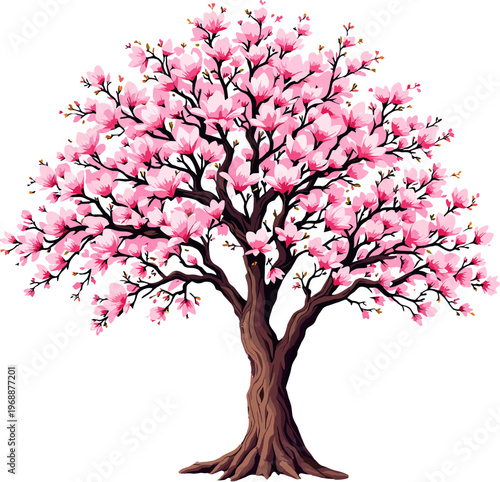 Blooming magnolia tree with soft pink flowers and full crown, elegant spring nature illustration perfect for garden, landscape and seasonal designs