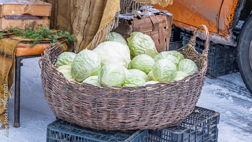 Wicker basket with fresh cabbages at a snowy outdoor market in Latvia.