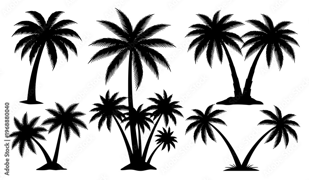 Obraz premium Palm Tree Silhouette Bundle Tropical Beach Trees Vector Collection