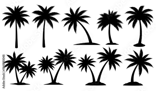 Palm Tree Silhouette Vector Set Tropical Beach Trees Collection