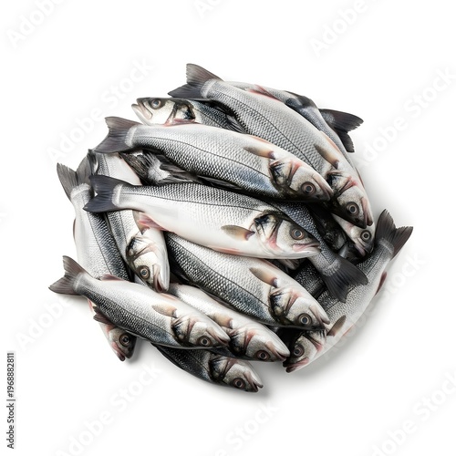 Fresh whole fish arranged neatly on white background