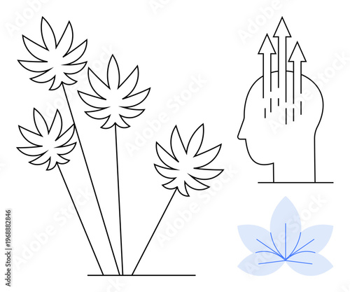 Cannabis concept. Cannabis with abstract leaves and mental clarity theme with arrows from the head. Cannabis for wellness, meditation, mental health, focus, alternative therapy