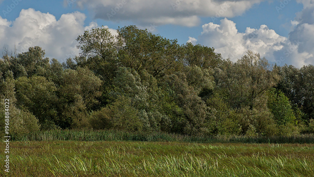 Obraz premium Clouds over a autumn marsh landscape in Bourgoyen nature reserve, Ghent, Flanders, Belgium