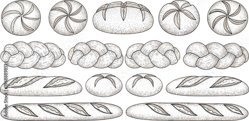 A collection of various types of bread arranged in rows on a white background