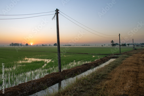 Electricity lines running through farmland with morning light reflection