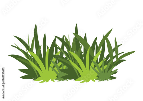Photos Bright green grass clump with sharp blades and vibrant tones beautifully illustr