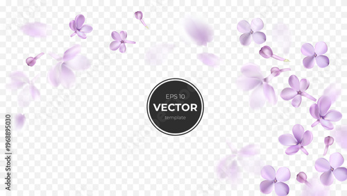 Delicate purple flowers scattered on a transparent background, creating a serene ambiance.