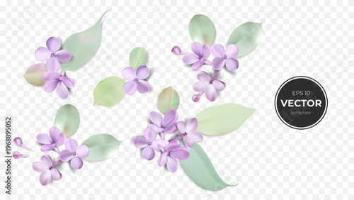 Delicate violet flowers and leaves, perfect for decorative designs.