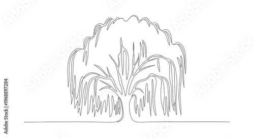 Weeping Willow Tree Minimalist One Line Drawing Vector Isolated