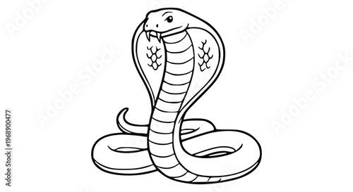 snake vector illustration