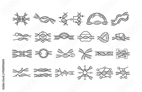 Line vector icons of molecular data flow in DNA containers: hybridization hubs, strand displacement waves, structural logic steps