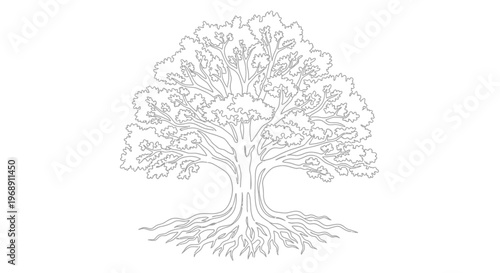 Tree Outline Drawing with Roots, Isolated on White Background