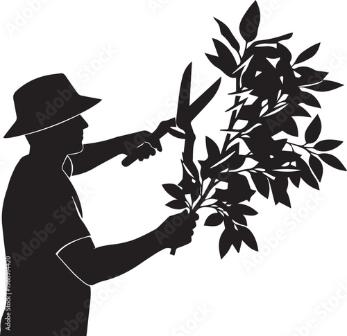 Gardener pruning plants with large scissors in silhouette