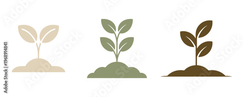 Vector plant growth stages illustration of seedling development with vector graphics