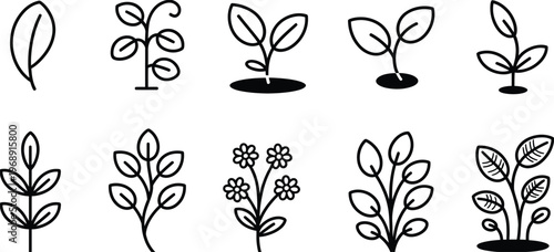 Botanical Growth Outline Icon Set, Plant Life Cycle Stages from Seed, Sprout, Seedling to Mature, Flowering, Fruiting and Wilting, Minimal Line Vector Illustration for Education and Infographics
