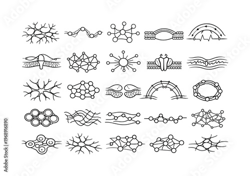 Line vector icons of living neural-like webs: organic dendrite meshes, biochemical pulse paths, receptor-guided signal nodes,
