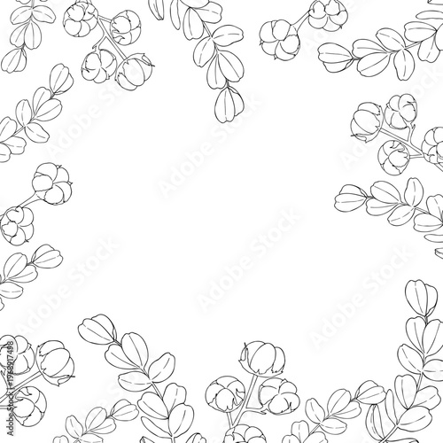Vector eucalyptus branch frame, graphic hand drawn isolated illustration. Botanical template for christmas, winter, and wedding clipart. For designers, invitations, decoration, postcards, wrapping