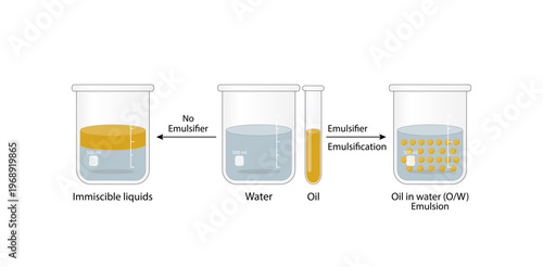 Emulsion, a mixture of two immiscible liquids (oil and water) in beakers, Emulsion oil in water, Immiscible liquids. Emulsification, emulsifier. isolated on white background. Vector illustration.