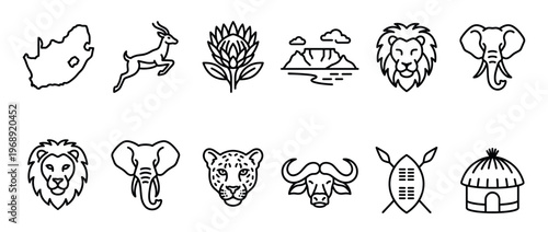 Diverse collection of South African national symbols and cultural elements, featuring wildlife, natural landmarks, and traditional representations in a clean line art style.