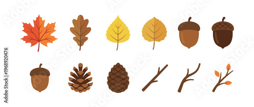 Autumn leaves, acorns, pinecones, and twigs vector illustration set depicting various natural elements of the fall season.