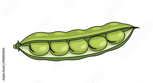 A vibrant green garden pea pod is partially opened to showcase five perfectly round and fresh peas against a stark and clean white background with subtle shading.