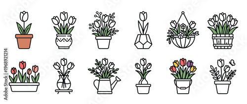 Collection of various potted tulips and spring flowers in different containers, showcasing a variety of floral arrangements and garden elements.