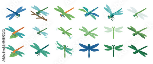 Dragonflies vector illustration set featuring various colorful insects in different poses and styles, perfect for nature and summer designs.