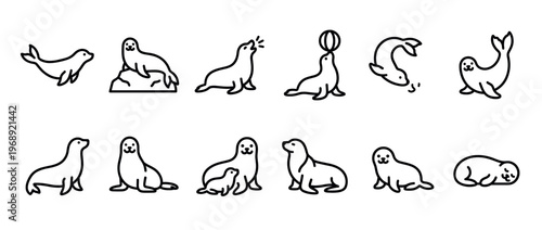 Seals and sea lions depicted in a charming collection of outline icons, showcasing various behaviors and interactions.