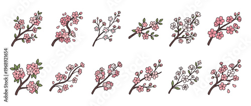 Cherry blossom branches, sakura flowers, and green leaves in a charming cartoon style illustration, perfect for spring designs and decorative elements.