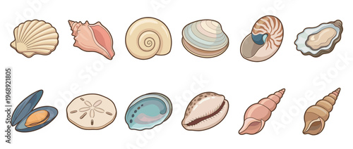 Various seashells, sand dollar, mussel, and oyster collection showcasing diverse marine life forms and ocean treasures.