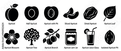 Apricot fruit icons set featuring various forms like whole, half, sliced, dried, blossom, tree, branch, jam, juice, leaf, and pit.