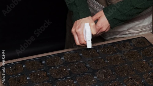 Hands Spraying Seed Tray With Mister, Dark Potting Soil In Cells, Closeup Of Careful Indoor Gardening Routine