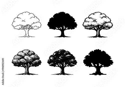 Mature deciduous tree with full rounded canopy and sturdy trunk, symbolizing nature, growth, and environmental balance | Create