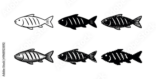 Market fish with pointed head and fan shaped tail, typically cleaned and prepared for baking or steaming | Create ONE image