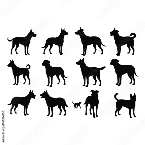 Collection of black silhouettes depicting various breeds of domestic dogs