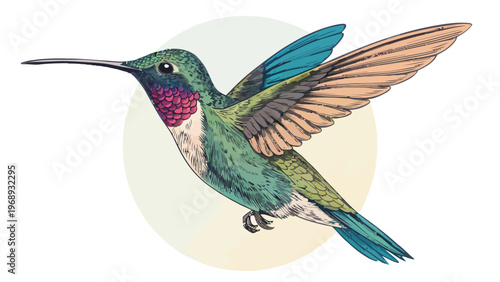 A colorful hummingbird in flight with vibrant feathers and a long beak