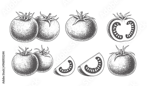 Hand drawn of whole and sliced tomatoes in grayscale