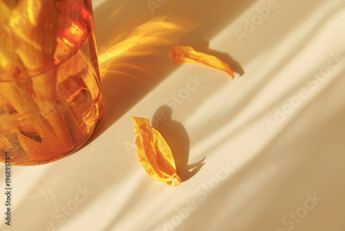 Photos Sunlight shadow and amber glass reflection illuminating withered yellow petal on