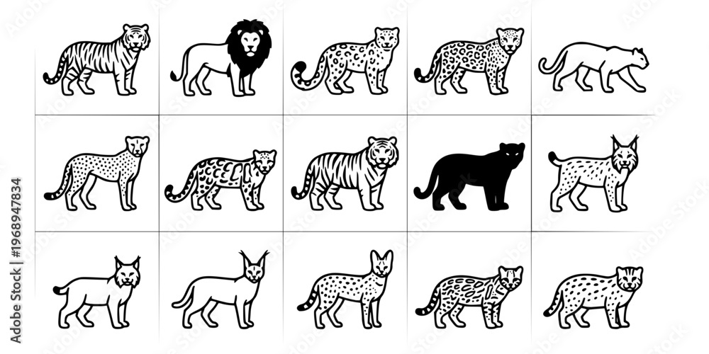 Fototapeta premium 15 Black and White Big Cats of the World Vector Icons Flat Line Art Collection