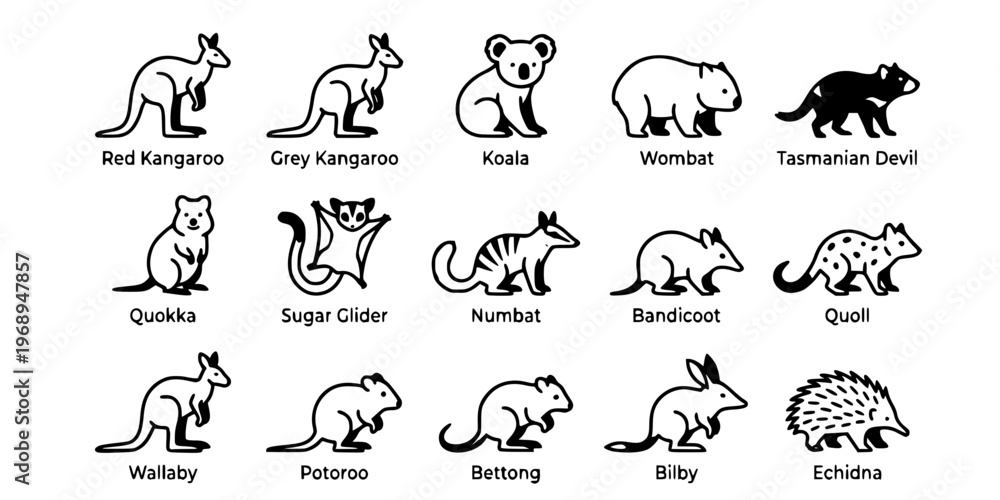 Obraz premium 15 Black and White Marsupial and Monotreme Vector Icons Flat Line Art
