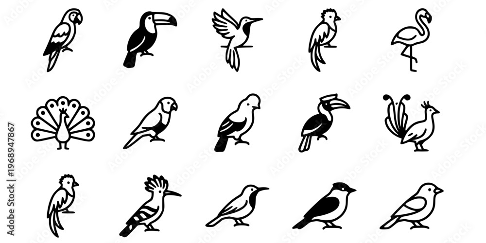 Fototapeta premium 15 Black and White Tropical Exotic Bird Vector Icons Flat Line Art