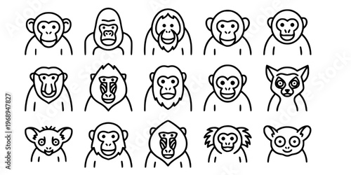 15 Black and White Primate and Ape Vector Icons Flat Line Art Bundle