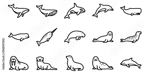 15 Black and White Marine Mammal Vector Icons Flat Line Art Elements