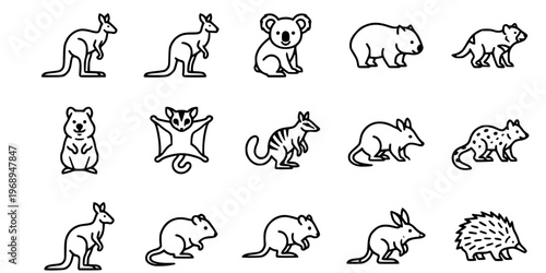 15 Black and White Marsupial and Monotreme Vector Icons Flat Line Art