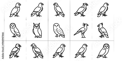 15 Black and White Bird of Prey Raptor Vector Icons Flat Line Art Set