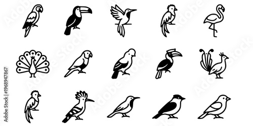 15 Black and White Tropical Exotic Bird Vector Icons Flat Line Art