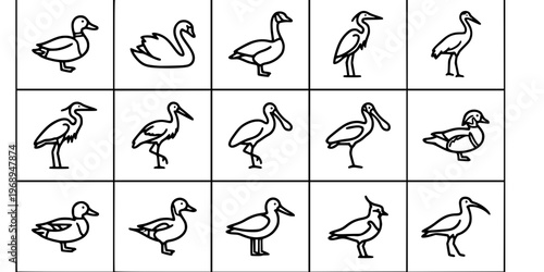 15 Black and White Waterfowl Wading Bird Vector Icons Flat Line Art